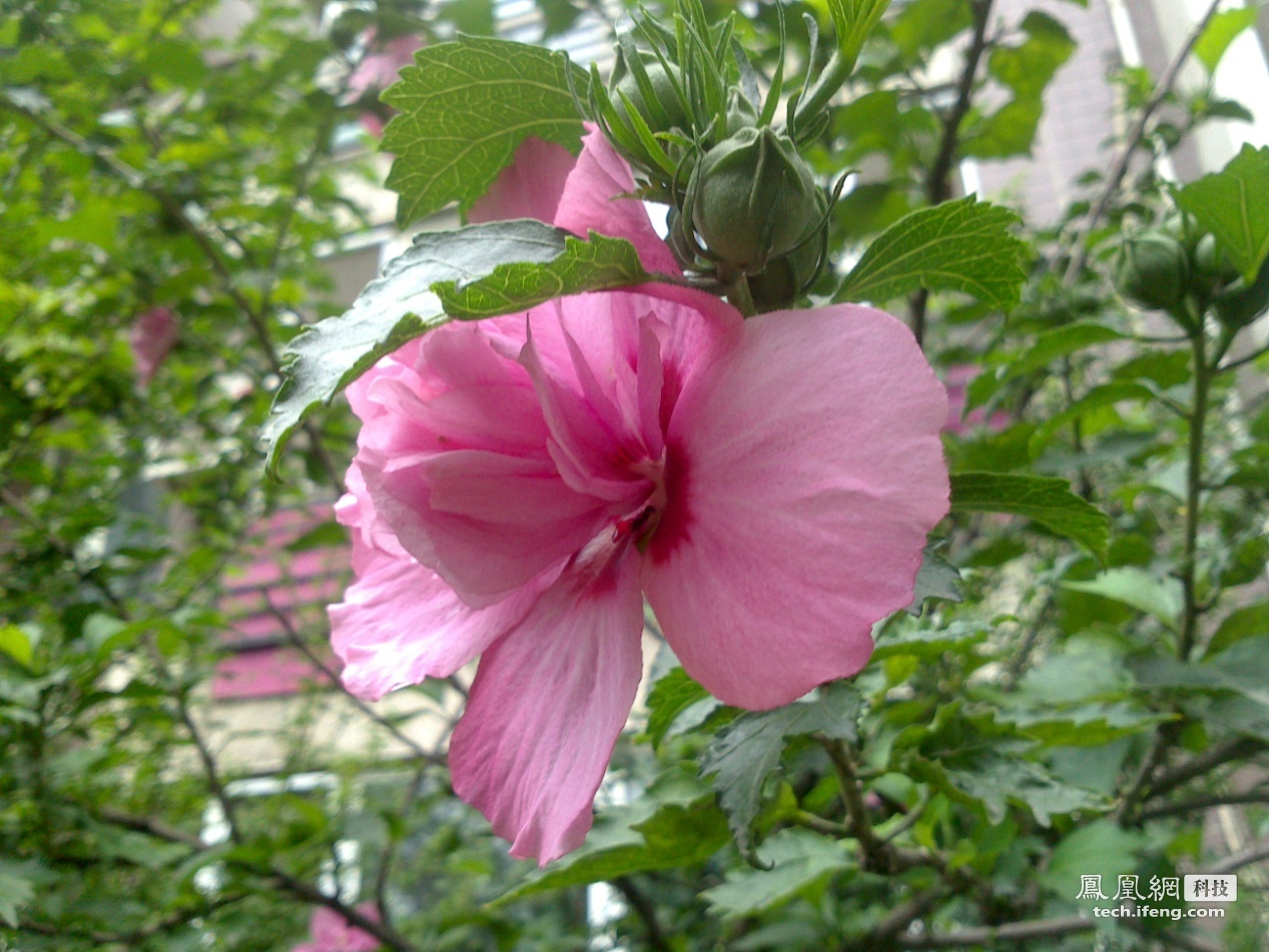 索尼ST27i评测:三防双核 屏幕分辨率偏低(10)