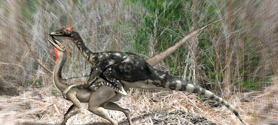 科学家揭恐龙<em>交配</em>秘密:后进式<em>与狗</em>类似(2)_趣科
