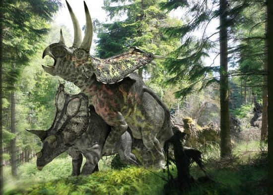 科学家揭恐龙<em>交配</em>秘密:后进式<em>与狗</em>类似(5)_趣科